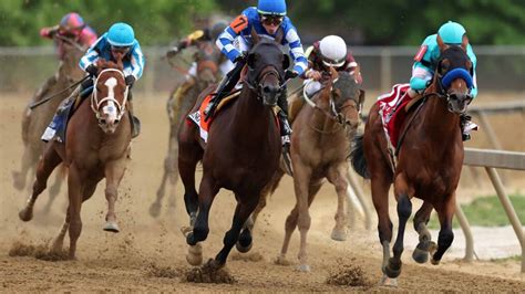 belmont stakes lineup